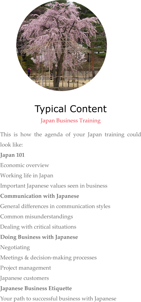 Typical Content  Japan Business Training This is how the agenda of your Japan training could look like: Japan 101 Economic overview Working life in Japan Important Japanese values seen in business Communication with Japanese General differences in communication styles Common misunderstandings Dealing with critical situations Doing Business with Japanese Negotiating Meetings & decision-making processes Project management Japanese customers Japanese Business Etiquette Your path to successful business with Japanese